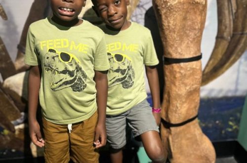 Kids at the museum