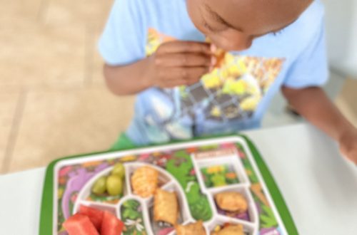 Foods for picky eaters